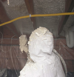 Allentown PA crawl space insulation